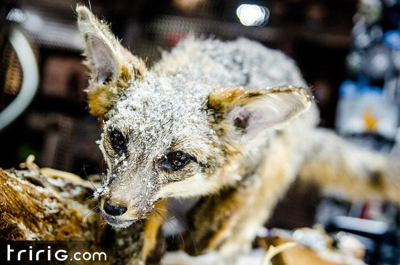 Interbike 2013 - Day 2